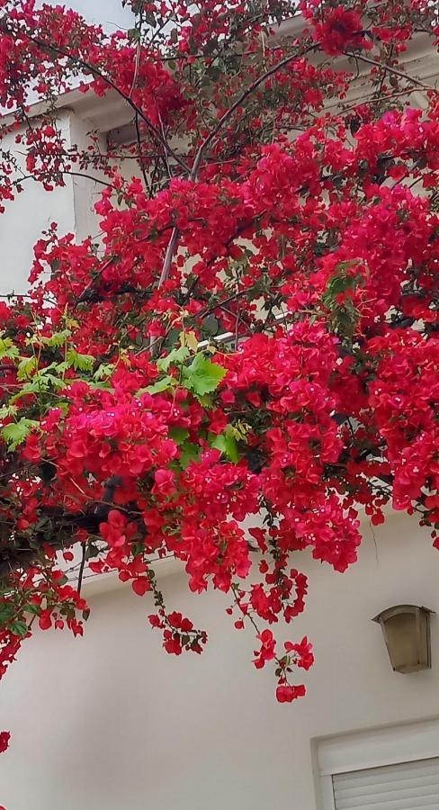 Stamatias Home, Fully Equipped Cottage 5 Minutes From The Sea Hanya Dış mekan fotoğraf
